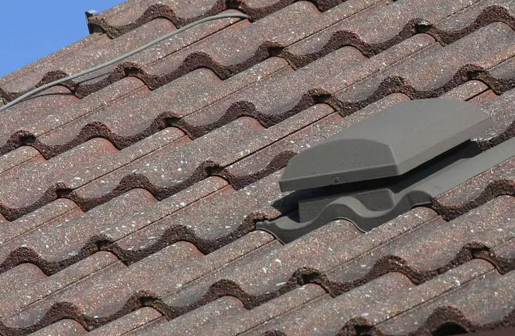 Skipping Out On Accessories